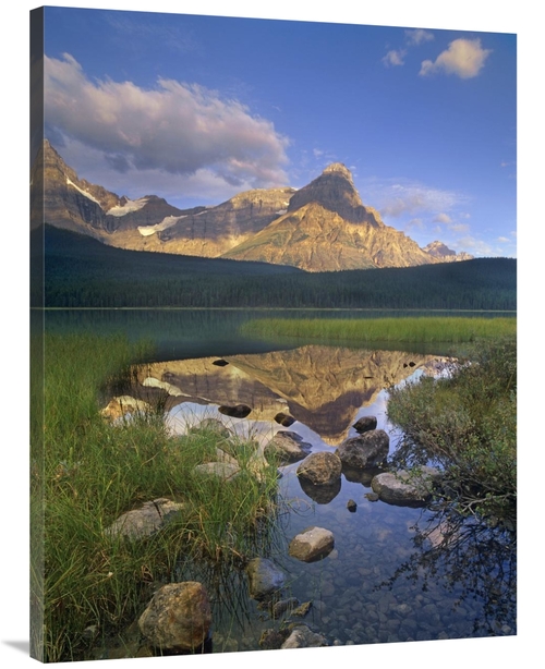 Global Gallery GCS-396817-3040-142 30 x 40 in. Mount Chephren & Waterf