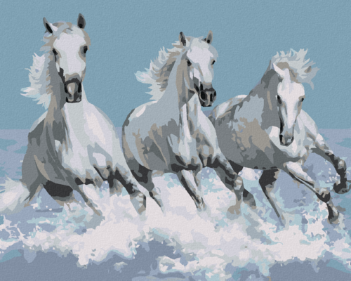 Paint by Numbers - WHITE HORSES