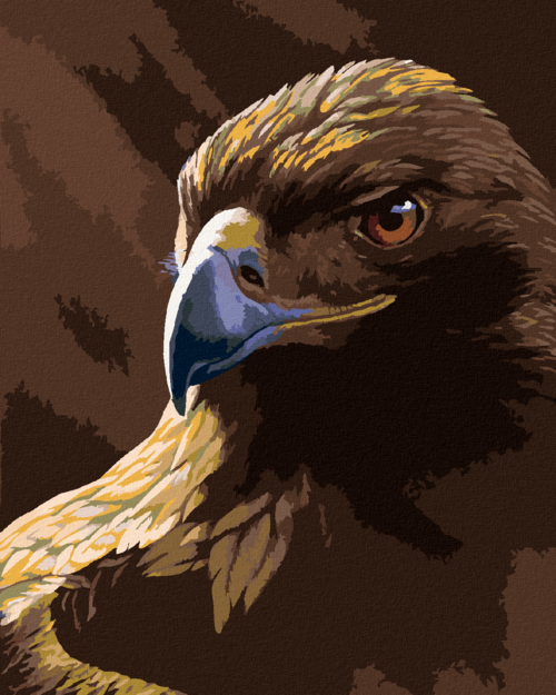 Paint by Numbers - PORTRAIT OF AN EAGLE (AL AGNEW)