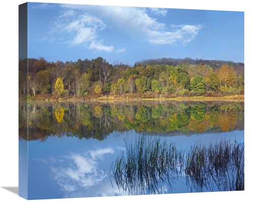 Global Gallery GCS-396958-22-142 22 in. Deciduous Forest Along Lackawa