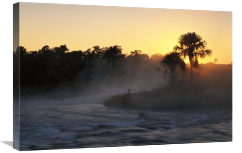 Global Gallery GCS-451577-2030-142 20 x 30 in. Buriti Palm Gallery For