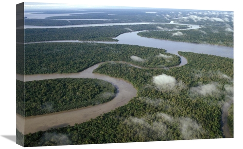 Global Gallery GCS-452783-1624-142 16 x 24 in. Aerial of Tropical Rain