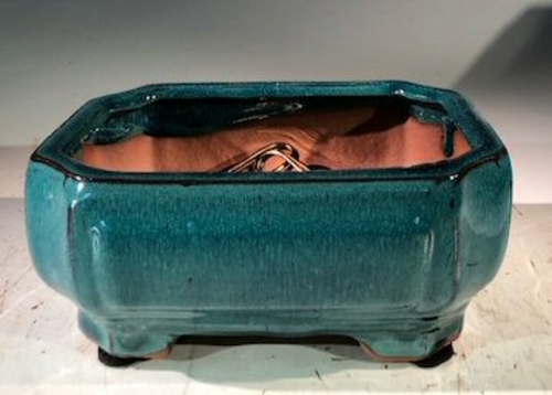 Blue / Green Ceramic Bonsai Pot - Rectangle Professional Series 6" x