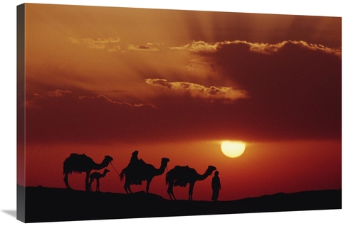 Global Gallery GCS-452939-2436-142 24 x 36 in. Dromedary Camels & Bedo