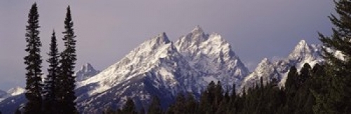Panoramic Images PPI83905L Cathedral Group Grand Teton National Park W
