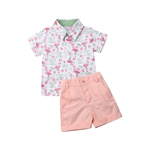 2019 Toddler Kids Baby Boy Short Sleeve Flamingo