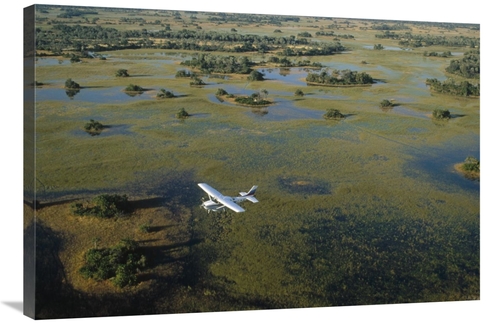 Global Gallery GCS-452365-2436-142 24 x 36 in. Flight Safari, Okav
