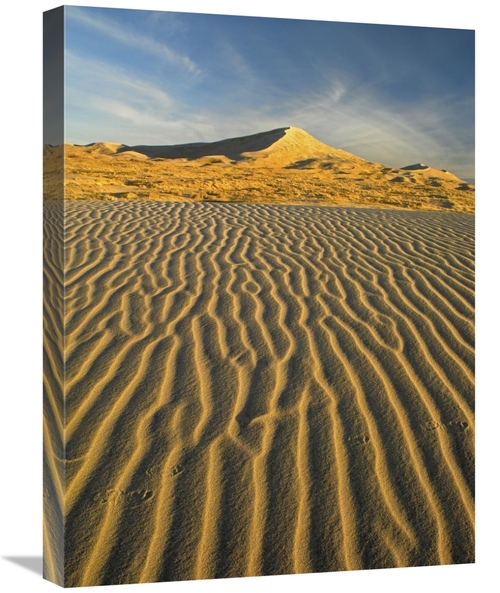 Global Gallery GCS-452131-1824-142 18 x 24 in. Wind Ripples in Kelso D