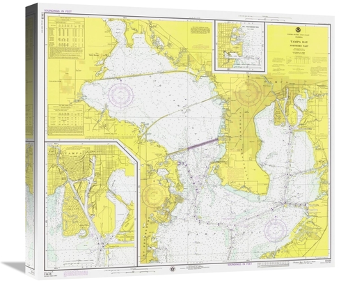 Global Gallery GCS-450518-22-142 22 in. Nautical Chart - Tampa Bay - N