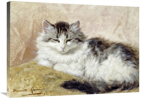 Global Gallery GCS-267183-36-142 36 in. A Cat Art Print - Henriette Ro