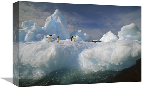 Global Gallery GCS-453464-1218-142 12 x 18 in. Adelie Penguin Group on