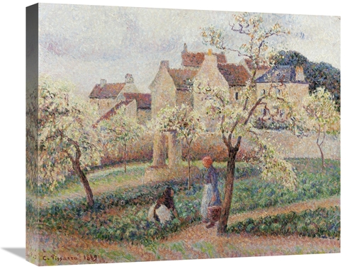 Global Gallery GCS-267031-22-142 22 in. Plum Trees in Blossom Art Prin