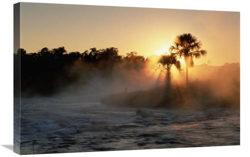 Global Gallery GCS-451574-2030-142 20 x 30 in. Buriti Palm Gallery For