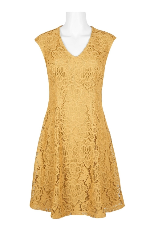 London Times V-Neck Sleeveless A-Line Concealed Zipper Back Crochet