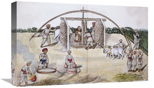 Global Gallery GCS-268207-22-142 22 in. Sugar Cane Pressing Art Print 