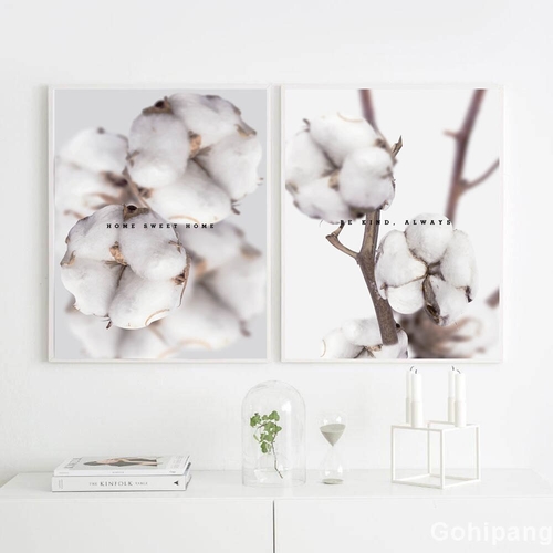 Cuadros Pink Cotton Flower Posters Prints Canvas