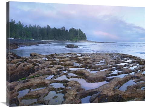 Global Gallery  30 x 40 in. Tide Pools Exposed at Low Tide, Botani