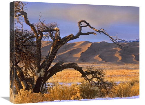 Global Gallery GCS-396705-2024-142 20 x 24 in. Grasslands & Dunes,