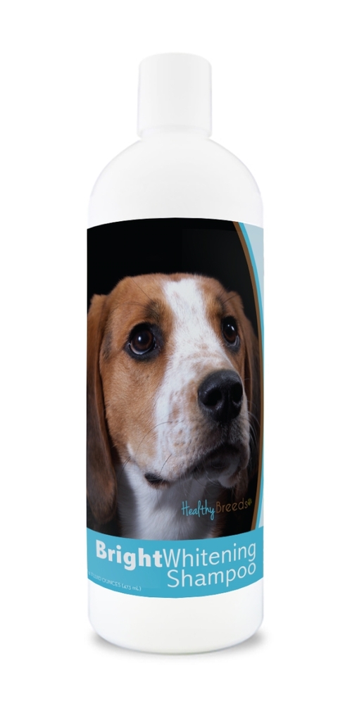 Healthy Breeds 840235100065 12 oz American English Coonhound Bright Wh