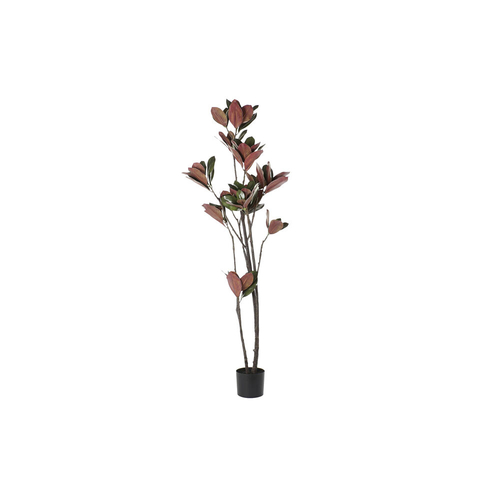 Tree DKD Home Decor Polyester polypropylene Magnolia tree (75 x 75 x