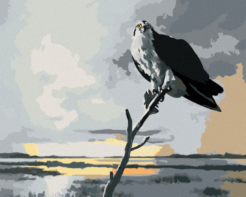 Zuty - Paint by Numbers - EAGLE ON A BRANCH AND CLOUDS (D. RUSTY