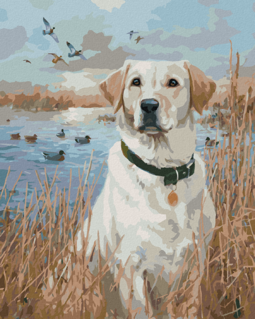 Zuty - Paint by Numbers - GOLDEN LABRADOR IN REEDS BY THE POND AND