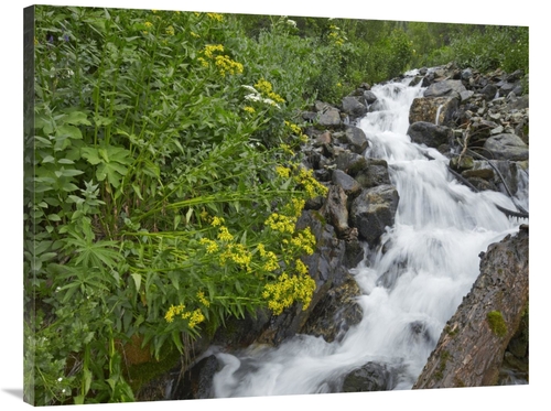 Global Gallery GCS-395985-3040-142 30 x 40 in. Creek Near Silverton&#4