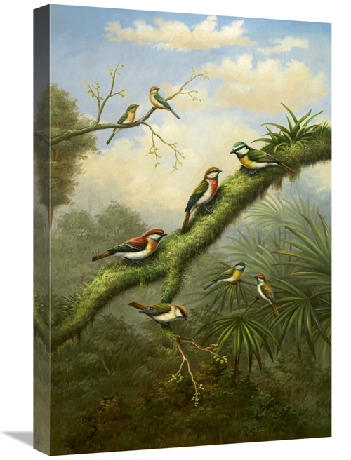 Global Gallery GCS-132521-1624-142 16 x 24 in. Birds of Plenty Art Pri