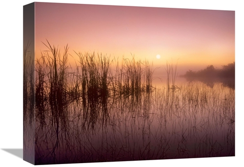 Global Gallery GCS-396970-1216-142 12 x 16 in. Reeds Reflected in Swee