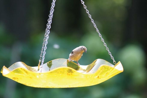 Birds Choice AAH216 Hanging Yellow Acrylic Bird Bath