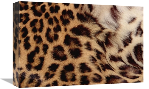 Global Gallery GCS-452999-1218-142 12 x 18 in. Jaguar Fur Detail, 