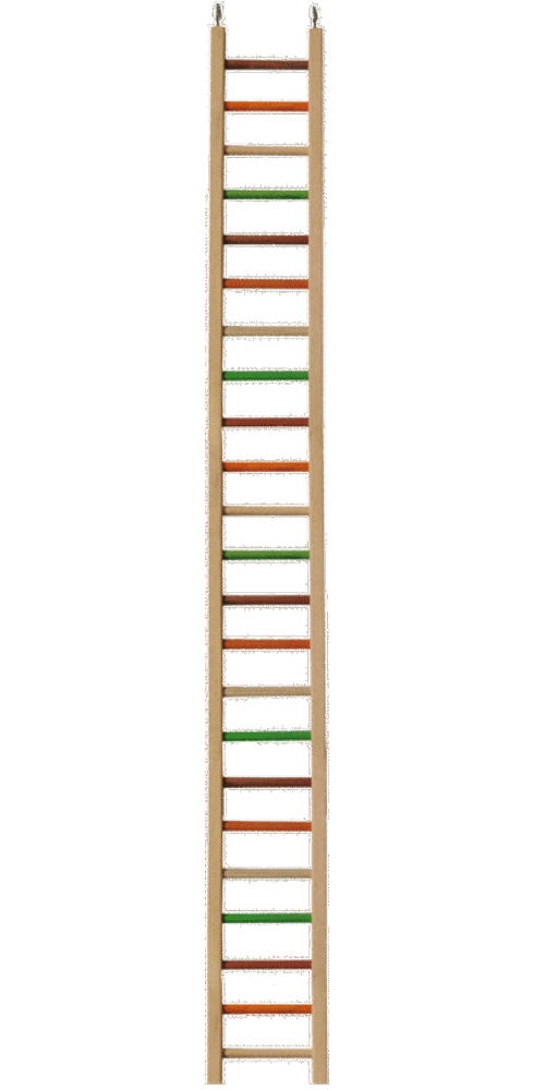 A&E Cage HB46421 Wooden Hanging Ladder - 50 x 5.25 - 0.5 in.