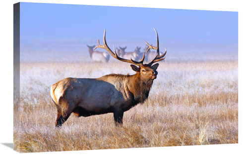 Global Gallery GCS-486452-30-142 30 in. The Family Group Art Print - V