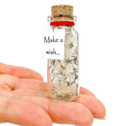 Tiny Magical Message in a Bottle Gift Idea   Classy Inspirational