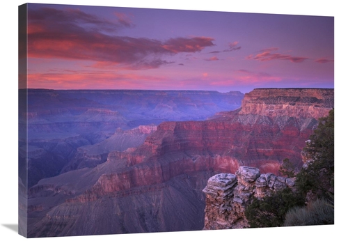 Global Gallery GCS-452034-2432-142 24 x 32 in. View of the South Rim F