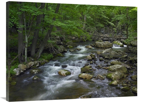 Global Gallery GCS-396787-3040-142 30 x 40 in. Little Stony Creek Flow