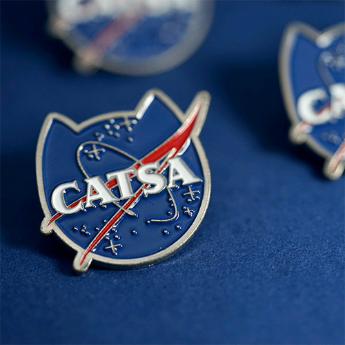 CATSA Space Pin