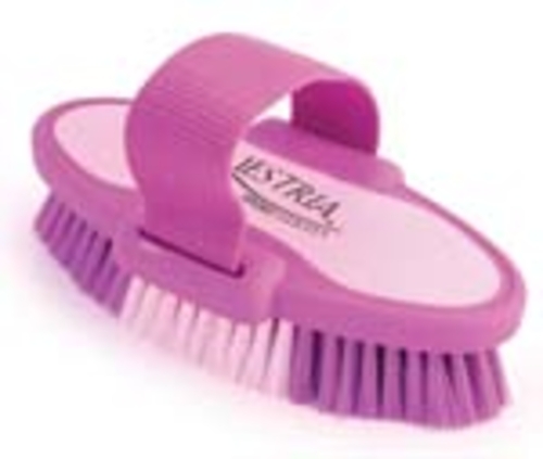 6.75 Inch Small Equestrian Sport Oval Body Brush - Purple  - 2171-2