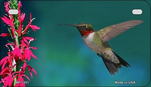 Smart Blonde MP-1201 7 x 4 in. Hummingbird Novelty Metal Motorcycle Pl