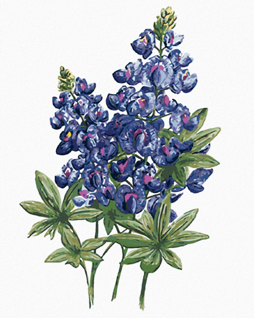 Paint by Numbers - BLUE LUPIN BLOSSOM (ALEXANDRIA GILBERT)