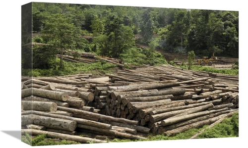 Global Gallery GCS-397652-1218-142 12 x 18 in. Logs in Logging Area&#4