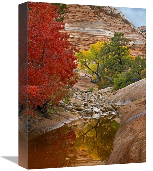 12 x 16 in. Maple & Cottonwood Autumn Foliage, Zion National Park&