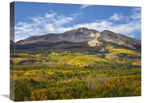 Global Gallery GCS-396799-1824-142 18 x 24 in. Aspen Forest & East Bec