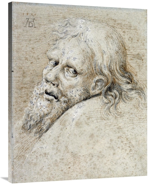 Global Gallery GCS-266557-40-142 40 in. The Head of a Bearded Man Art 