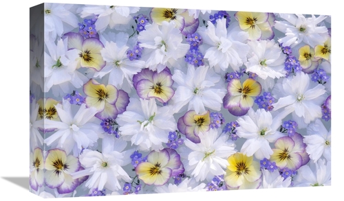 Global Gallery GCS-453594-1218-142 12 x 18 in. Close Up of White & Pur