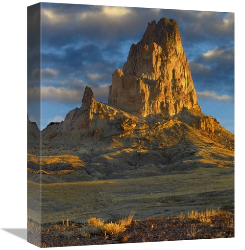 Global Gallery GCS-397136-16-142 16 in. Agathla Peak, the Basalt C