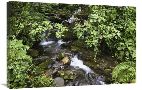 Global Gallery GCS-452664-2436-142 24 x 36 in. Creek Flowing Through R
