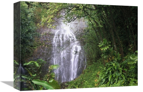 Global Gallery GCS-396122-1216-142 12 x 16 in. Waterfall Along Hana Co