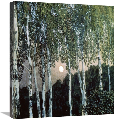 Global Gallery GCS-282135-22-142 22 in. Birch Trees Art Print - Aleksa