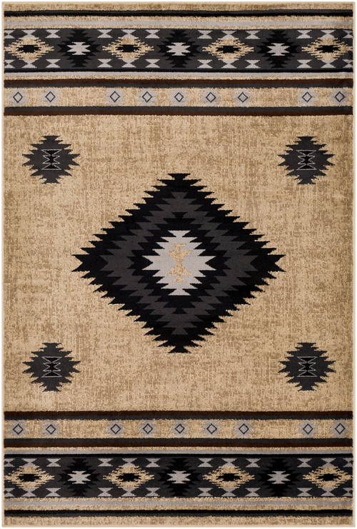 Surya PAR1096-5376 5 ft. 3 in. x 7 ft. 6 in. Paramount Area Rug, B